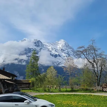 Engi 1 For Up To 8 People * 그린델발트