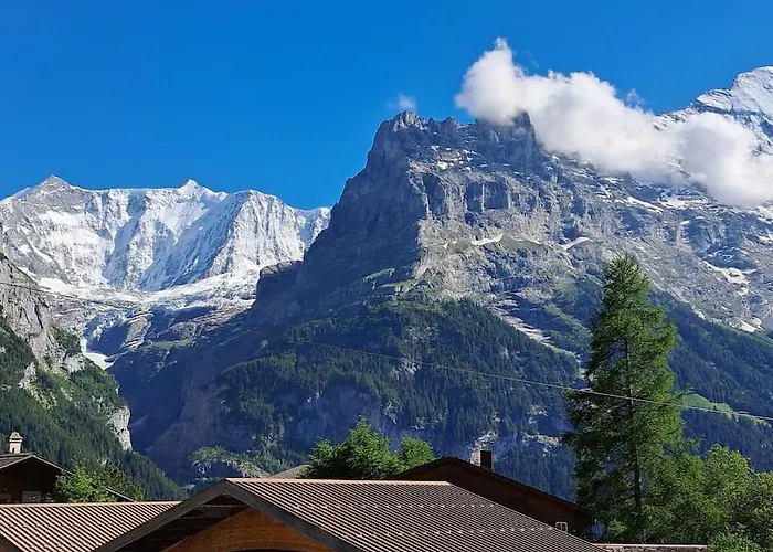 Engi 1 For Up To 8 People Grindelwald