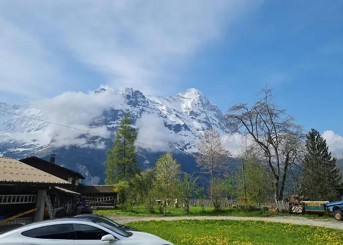 Engi 1 For Up To 8 People * Grindelwald