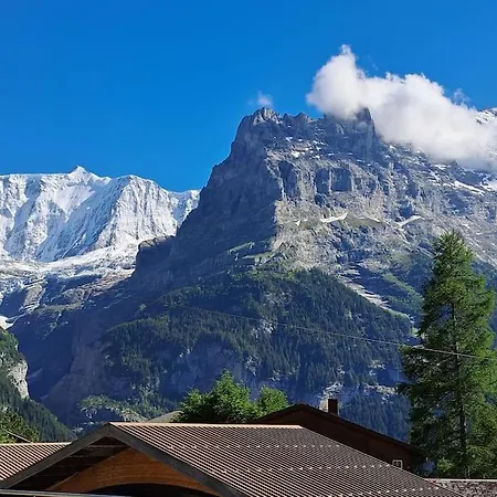 Engi 1 For Up To 8 People グリンデルヴァルト